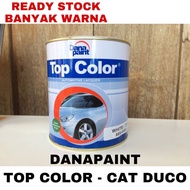 CAT TOP COLOR DANA PAINT 1L