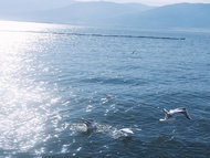 8 Days 7 Nights Relaxing Vacation in Yunnan: Kunming, Dali, Lijiang