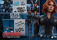 ~熊貓熊~全新 Hot Toys 1/6 MMS288 復仇者聯盟2 奧創紀元 Black Widow 黑寡婦