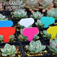 Plant Tag | Plant Label | Penanda Pokok | Plant Tag | 植物标签 | 种植标签 : 5cm x 7cm