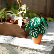 【DIY】俄羅斯刺繡材料包. 小後院西瓜皮椒草. 繡線刺繡