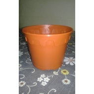 Small Flower Pots / Pasu Bunga Kecil