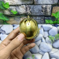 APEL JIN KUNINGAN SARI DAUN 357911