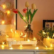 1pc 6m/3m/1.5m Home Decor LED Star Fairy String Lights, Camping Tent Decoration Moonlight String Lig