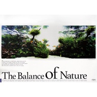 ADA NA Poster (The Balance of Nature Poster) ADA AQUASCAPING GALLERY AQUASCAPE POSTER