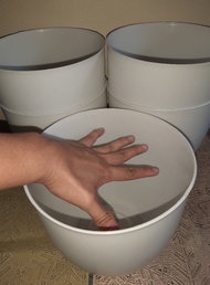 5PCS Big and Classy white indoor pots for plants (8x8 inches) - 50 pesos each only