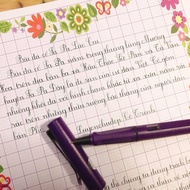 599 polished gold nib