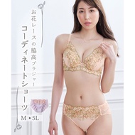 Lace Briefs Panties Floral Lace Stretchy No Show Mid Rise Smooth Silhouette Underwear