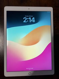 iPad Pro 12.9-inch (第二代) 256GB