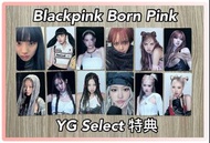 Blackpink小卡- Born Pink YG Select 特典🤍