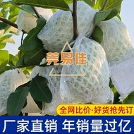 番石榴套袋芭乐网套红心番石榴专用防虫网套袋水果一体泡沫网批发8.11 Guava bagging net, guava protective net, special anti-insect bagg