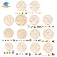 [Edstars] Life Cycle Board Wooden Educational Toy Puzzle Learning Aid Teaching Material Growth Cycle