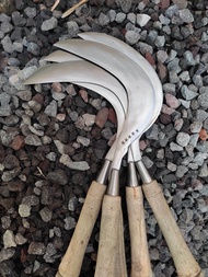 Arit rumput PANDE MADURA Sabit kayu padi full baja