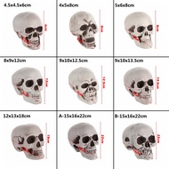 <PT>DAPHNE 1PC All Size Human Skeleton Terrible Halloween Props Skull Head Party Decoration Home Dec