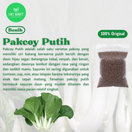( 100 Butir ) Benih Biji Pakcoy Putih | Sawi Sendok | Bok Choy | Pak Choy White