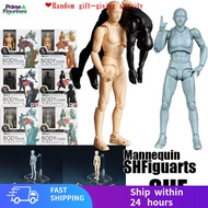 【免运费】Action Figure Mannequin SHF Figures  Body Kun Action Figure Body Chan SHFiguarts Girl  Man Mult
