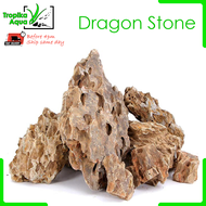 Dragon Stone Rock Ohko Alveolate aquarium fish tank aquascaping aquascape deco  (松皮石 虎皮石)