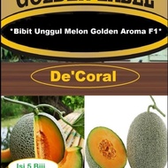 MENARIK BIBIT UNGGUL MELON GOLDEN AROMA F1 | BENIH MELON GOLDEN AROMA