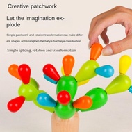 MAOYE Cactus Montessori Toy, Hedgehog Cactus Baby Concentration Training, Plant Teaching Aids Grip L