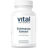 Vital Nutrients Echinacea Extract 1000mg | Vegan Echinacea Immune Support Supplement | Gluten, Dairy