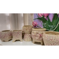 Pot- Nice pot 7 cm 田园风 CottageCore