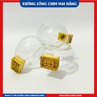 Combo of 3 sets of Glass Cups 1 Set of 3 Bamboo EarPiece (total 9 items)