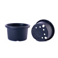 Baba WY-OC-200 Orchid Pot