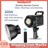 300W Professional Studio Flash Light Strobe Studio lighting for Photography light Photo Strobe Flash