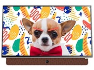 Google TV LED Skyworth 24 inch Full HD 24P6300