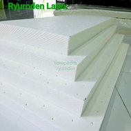 Latex Motorcycle Seat Essence 40 X 80 X 5