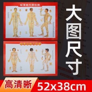 Human Body Standard Meridian Acupuncture Points Medical Household Whole Body Chinese Medicine Wall C