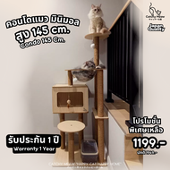 (รับประกัน 1 ปี)คอนโดแมวไม้มินิมอล สูง 145 cm. คอนโดแมว By Catchy Meaw