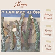 Dried firewood branches with branches for super beautiful decor, large wooden logs