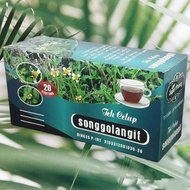 TEH SONGGOLANGIT - teh nyeri sendi asam urat ginjal
