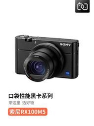 二手Sony/索尼 DSC-RX100M5 黑卡5微單卡片數碼照相機VLOG短視頻