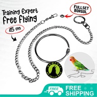 SEMPATI Rantai Kaki Burung Tali Burung Borgol 4 Mm Free Fly Ff Murai Batu Kacer Lovebird Rantai Lati