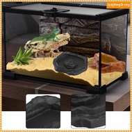 [LzdjfmyebMY] Reptile Feeder Bowl Terrarium Accessories Food Dish for Gecko Snake Tortoise Black