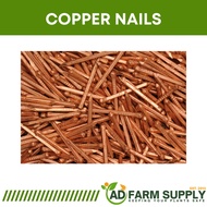 Copper Nails | Pako sa Bangka | Bronze Nails