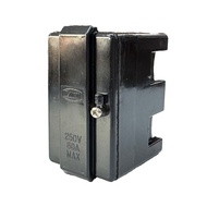 LUCY 60A CUT OUT /63A CUT OUT TNB