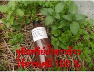 จุลินทรีย์น้ำซาวข้าว ไร้สารเคมี 100 % (ขนาด 500 ml.) เสมือนปุ๋ย 16-16-16