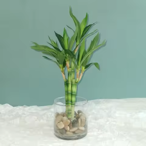 New 40cm rFtificial Lucky Bamboo Succulent Fake Plant Flower Green Potted Garden Outdoor Dining Tabl