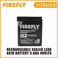 flashlight rechargeable Rechargeable Battery Sealed Lead Acid Battery 3.0Ah 4V Maintenance-Free FIREFLY FELB43.0