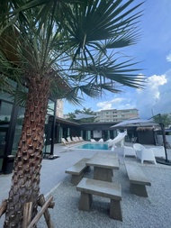 บ้านเดี่ยว 1 ห้องนอน 4 ห้องน้ำส่วนตัว ขนาด ตร.ม. – บางแสน (pool villa-1177)