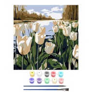 Digital Oil Paint By Numbers 20cm Canvas Frame Number Decor Home Painting Wall Painting Z4e4