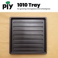 Tray 1010 / 1010 Tray for growing microgreens and wheatgrass / 1010托盘