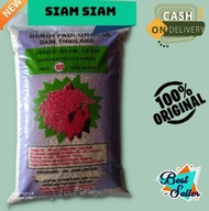 Benih Padi Siam Siam Bibit Padi Unggul 5 Kg 🤞