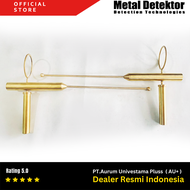 Metal Detektor IONIKA TURKI TIPE 2 - Metal Detector Ionika Turki Tipe 2 - Alat Pencari Emas & Harta