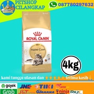 Price Promo Royal Canin Adult Maine Coon 4 Kg Rc Maine Coon Adult