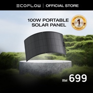 EcoFlow Flexible Solar Panel With High Efficiency Solar Modules (100W)