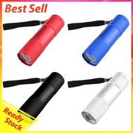 9LED Texture Fluorescent Agent Detection Light IPX4 Waterproof Mini 2W AAA Battery Powered 395nm Bac